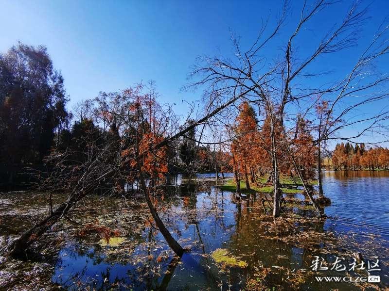 仓山“三下乡”活动启动