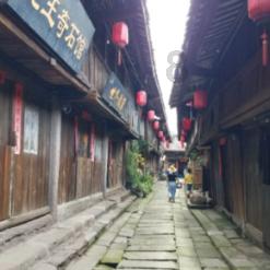 智能问答网站-石家庄救助站给看病吗?-快速解答您的疑问